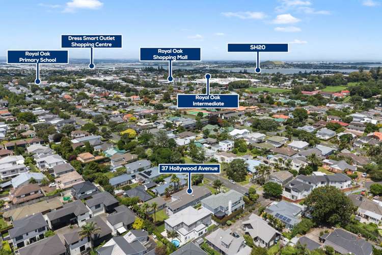 37 Hollywood Avenue Epsom_20