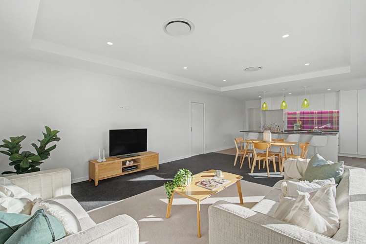 B/20 Holloway Waikiwi_15