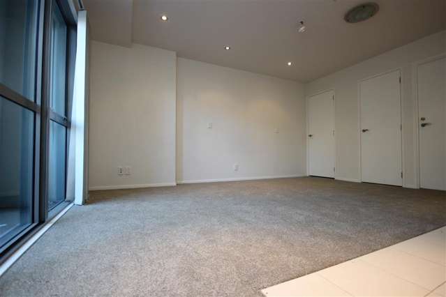 152 Hobson Street 10015_4