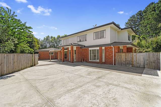 732 Tahuroa Road Morrinsville_3