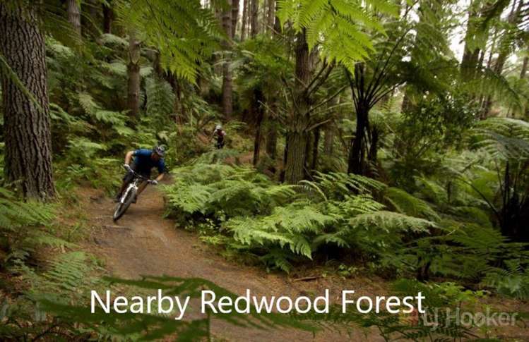 58a Lynmore Avenue Lynmore_17