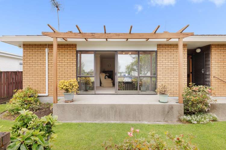 20a Devon Street Greerton_7