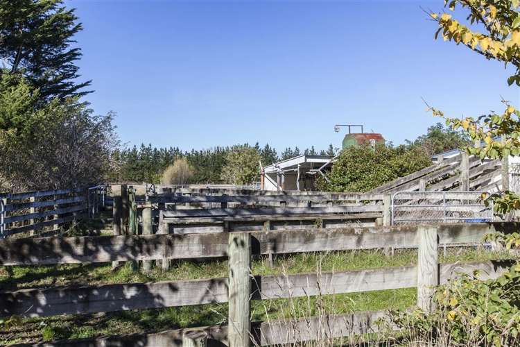 213 Mandeville Road Swannanoa_7