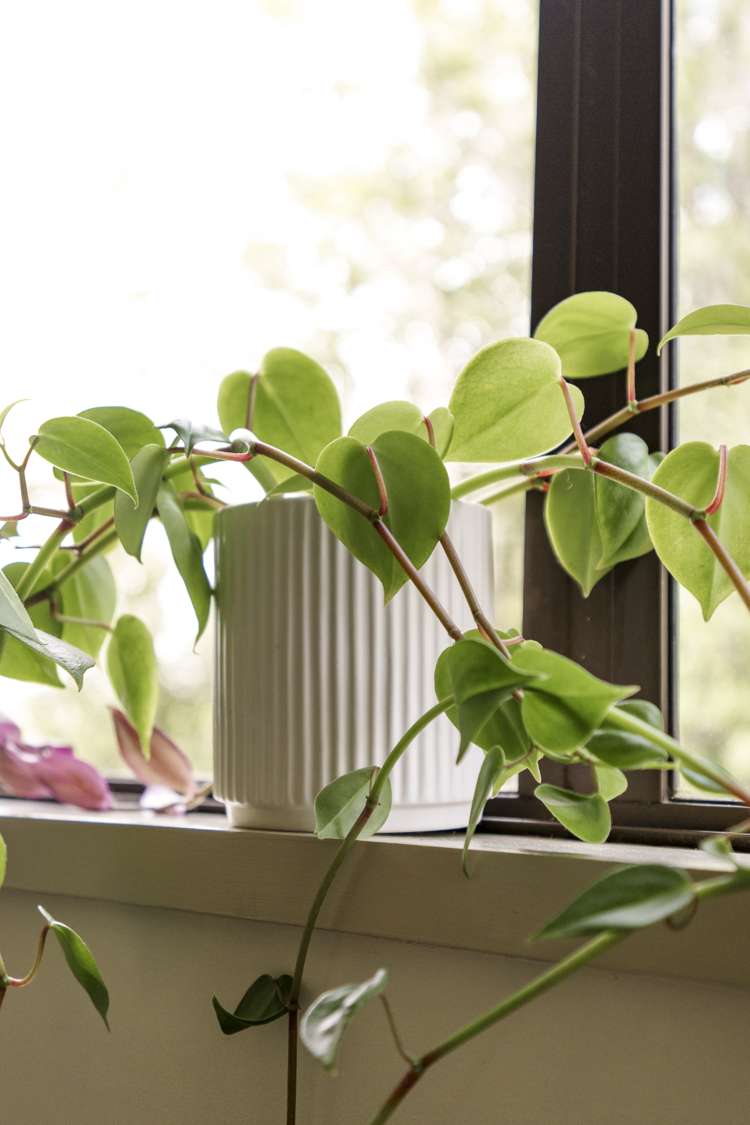 9 Addison Place Halswell_29