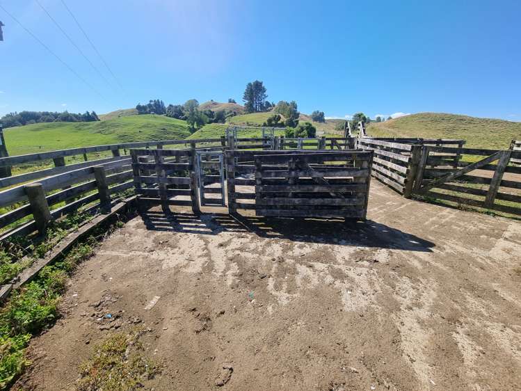 Paekaka Road Piopio_10