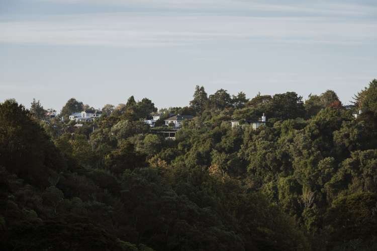 91 Cannington Road Maori Hill Dunedin City Houses for Sale One Roof