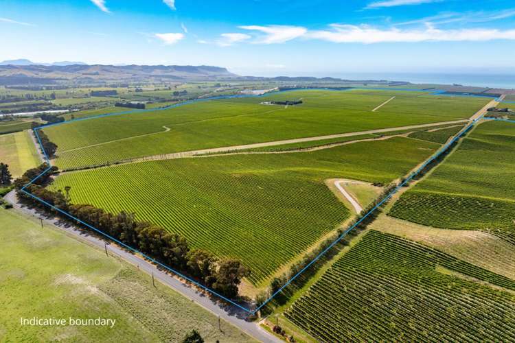 787 Seaview Road Seddon_27