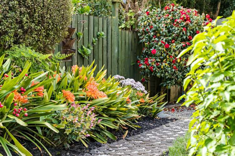 3/43 Gardner Avenue New Lynn_15