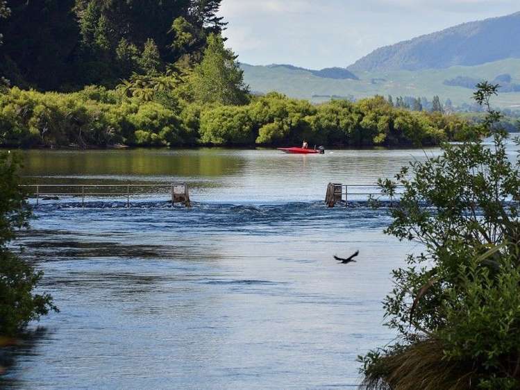 50/1420 Hamurana Road Mourea_12