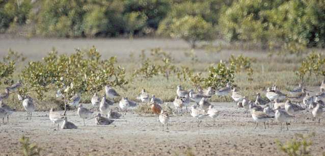 68D Tuparekura Road, South Head Helensville_3