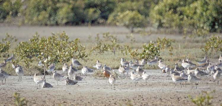 68D Tuparekura Road, South Head_2