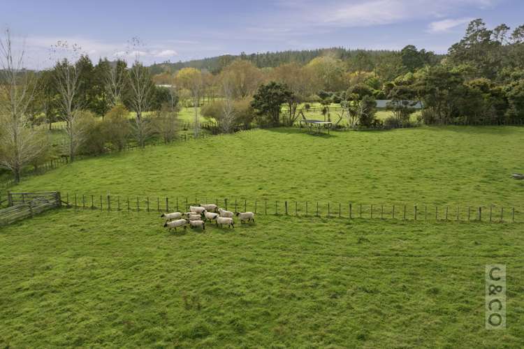 293 Ararimu Valley Road Helensville_29