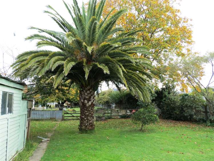 42 Atkins Street Motueka_13