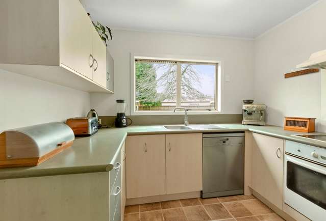 8 Coates Lane Te Poi_3