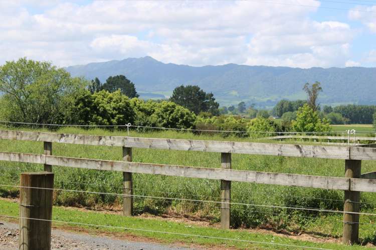 Lot 1 - 28 Brown Road Te Poi_6