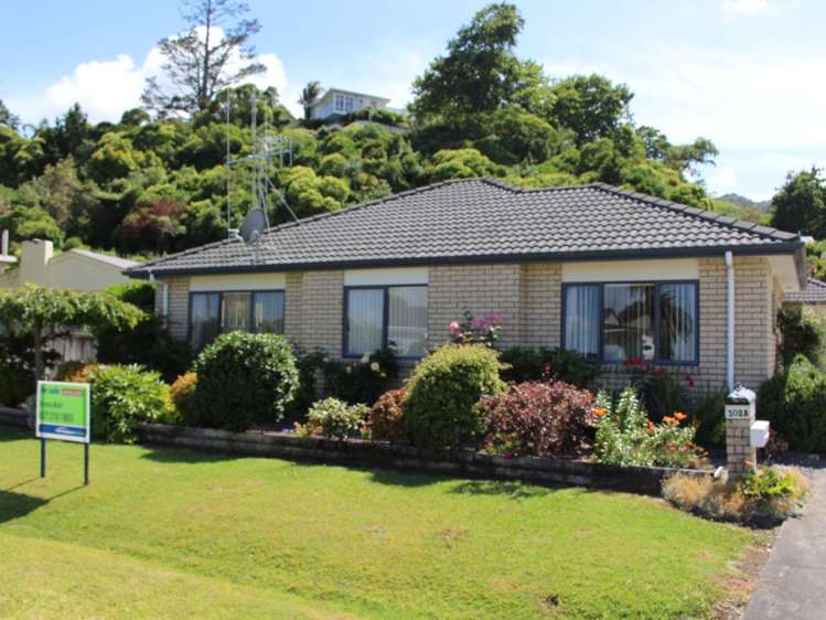 302a Heale Street Thames_0