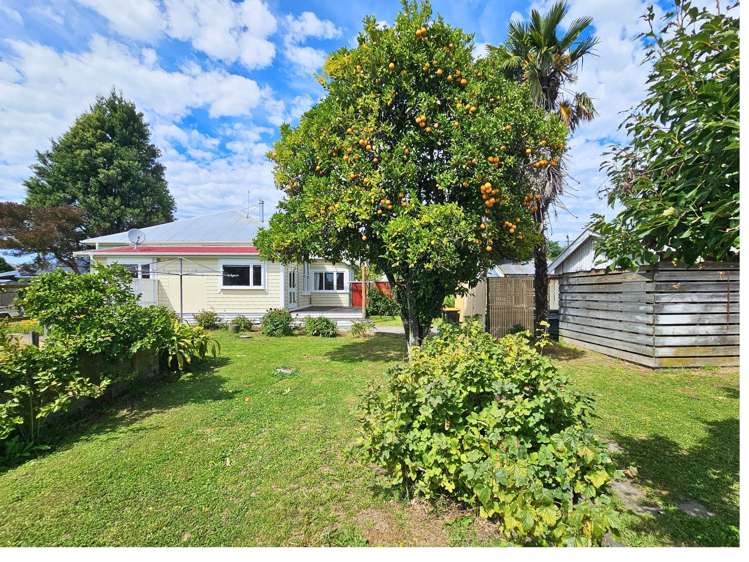 7 Dillons Point Road Islington_3