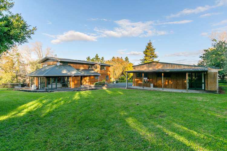 99 Postman Road Dairy Flat_2