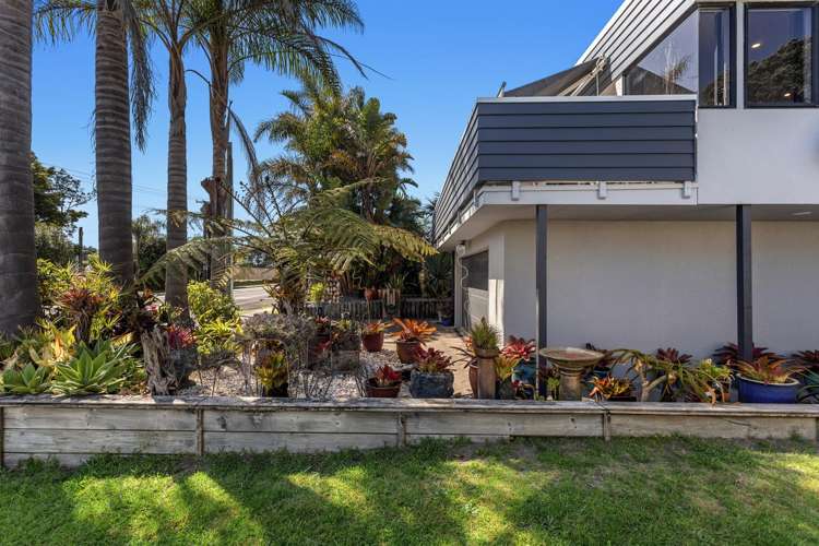 246A Pohutukawa Avenue Ohope_23