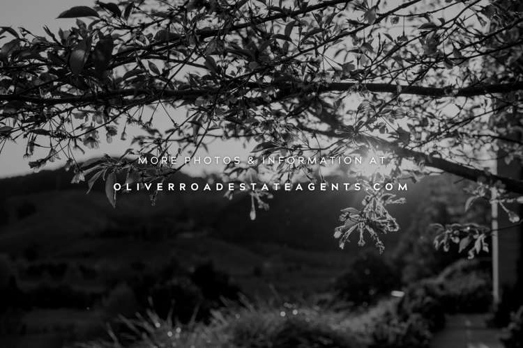 56 Miles Lane Tauriko_15