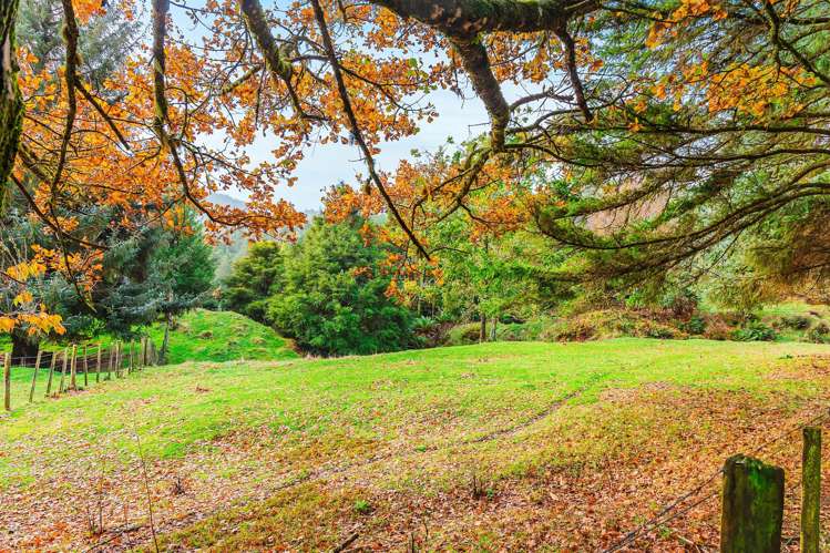 2005 Ongarue Stream Road Waimiha_16