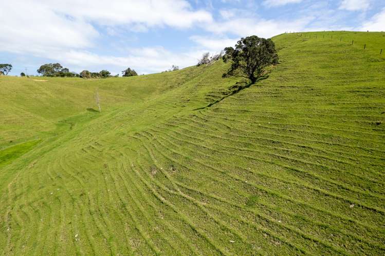 Lot 1 Rockell Road Whananaki_17