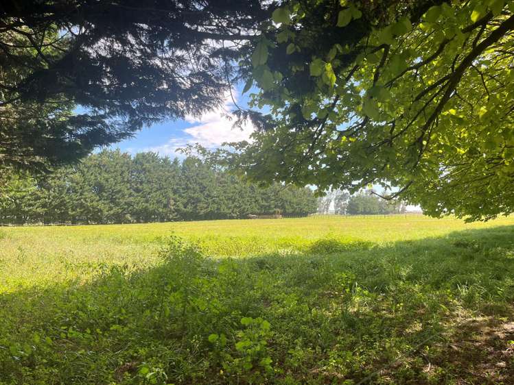 646 Wakarara Road Ongaonga_20