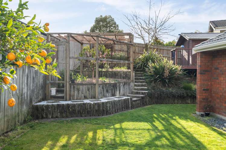 43 Lewis Road Lynmore_31