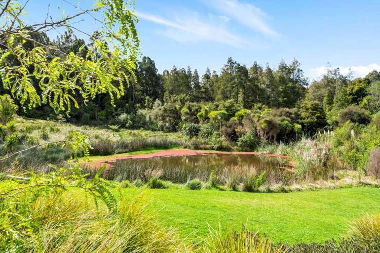 108 Tender Road Dairy Flat_13