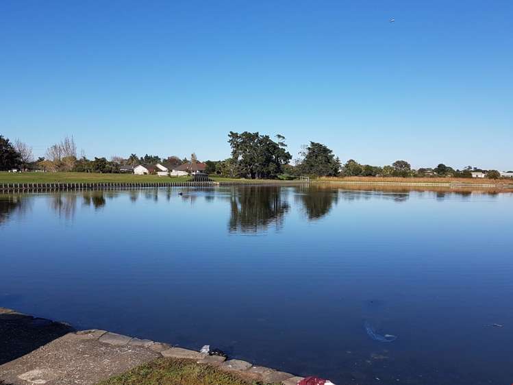 29 Stranraer Crescent Wattle Downs_15