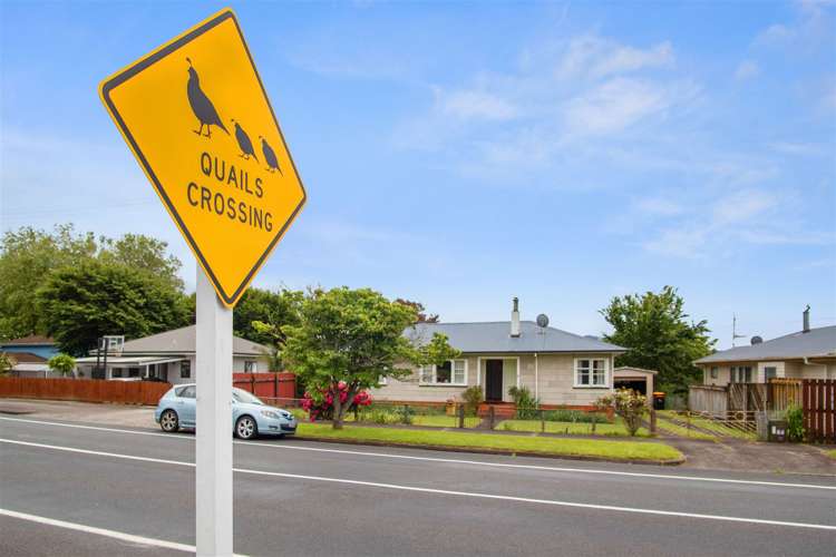 41A Arapuni Road_0