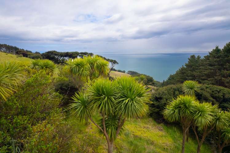 Whaanga Road Raglan_15
