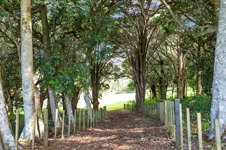 1027 State Highway 14 Maungatapere_10