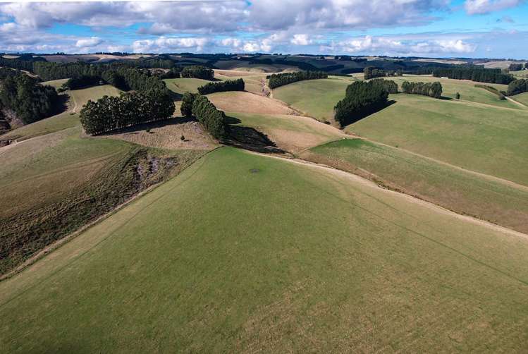 144 Block Road Pukeawa_15