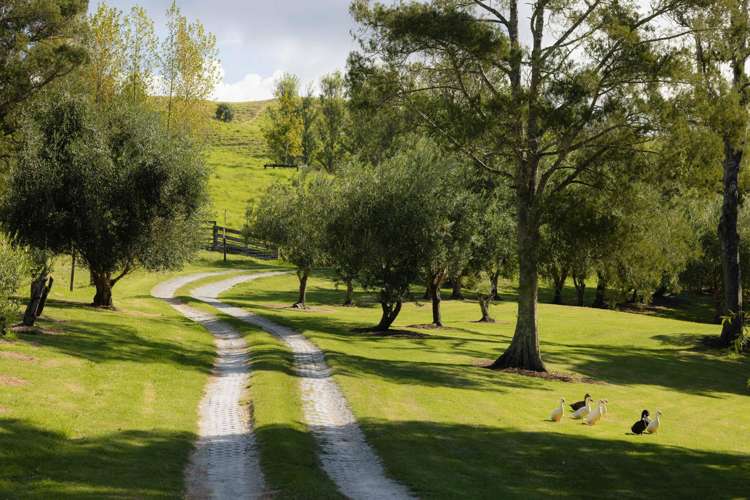 Andersons Cove Mangawhai_9