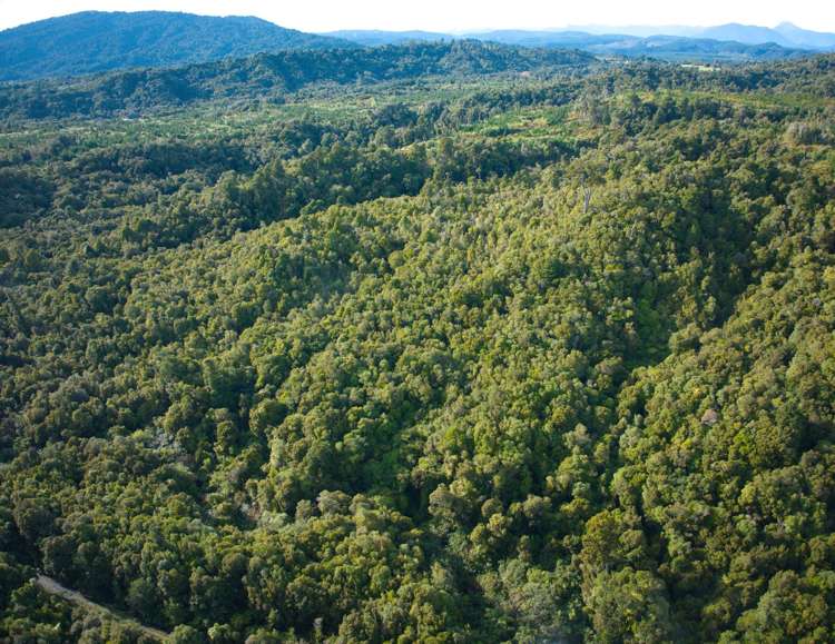 330 Rutherglen Road Marsden_35