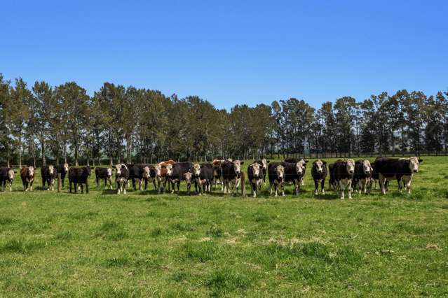 96A and 148 Hallett Road Otakiri_3