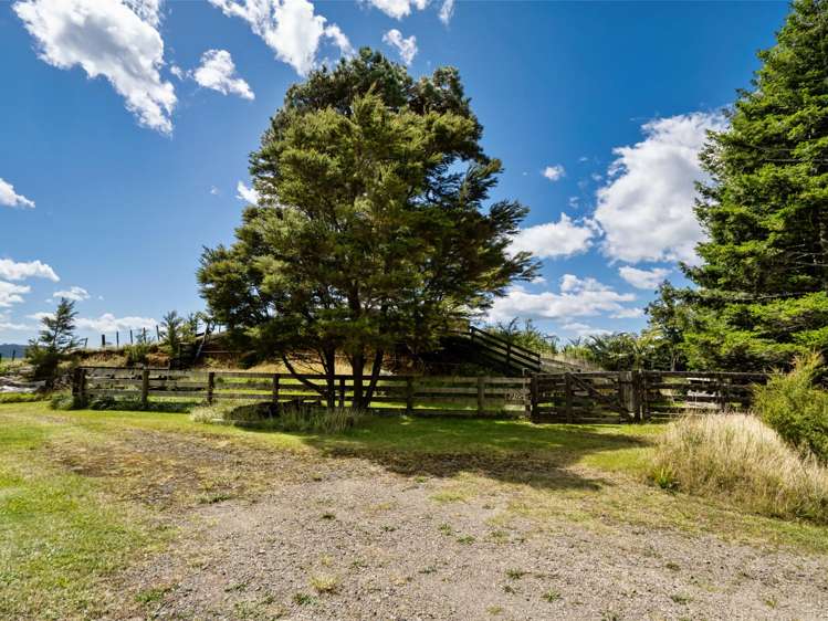 424A Hot Springs Road Katikati_45