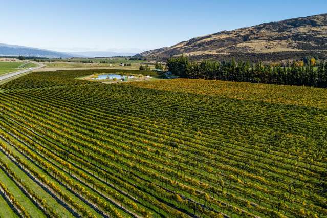 1290 Luggate-Tarras Road Luggate_4