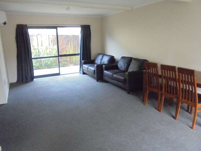 30b Hogan Street Hamilton East_4