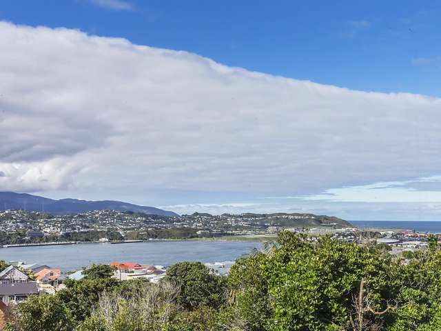 61 Rakau Road Hataitai_4