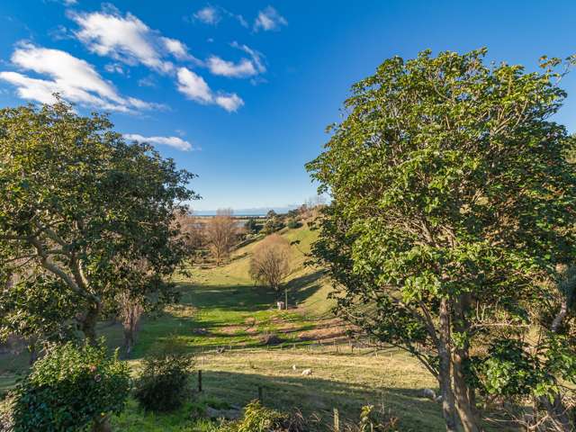 50 Ballantyne Road Poraiti_2