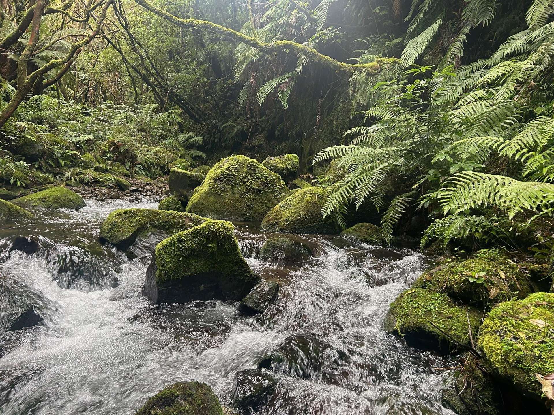 7957 State Highway 2 Opotiki Surrounds_0