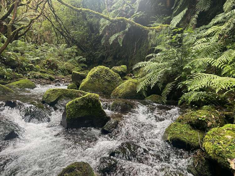 7957 State Highway 2_0