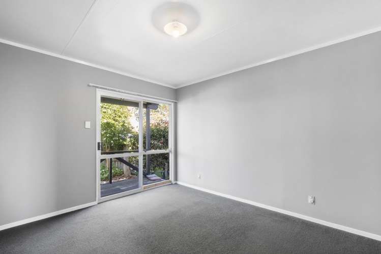 36b Puriri Street Nawton_9