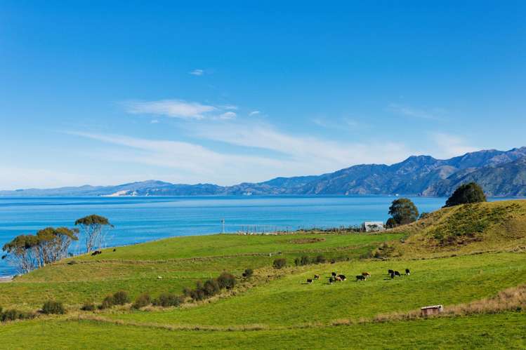 26 Miromiro Drive Kaikoura_6