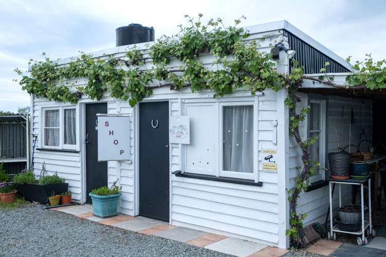 7 Opuha Saint East Orari_18