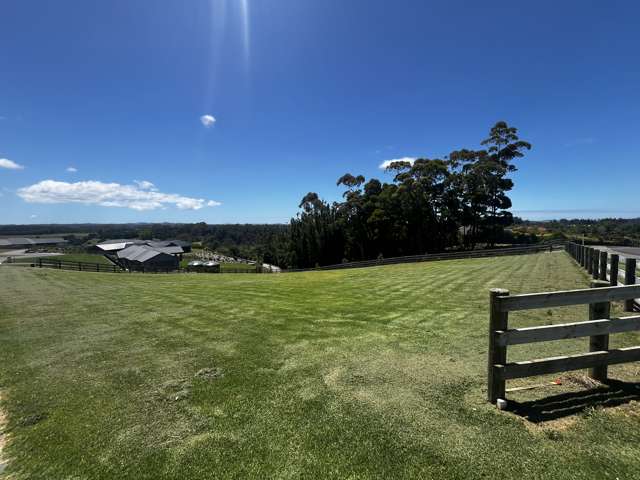 Elevated Living In Kerikeri