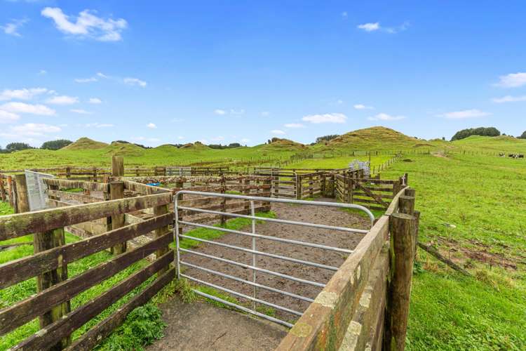 1161 State Highway 5 Hamurana_12