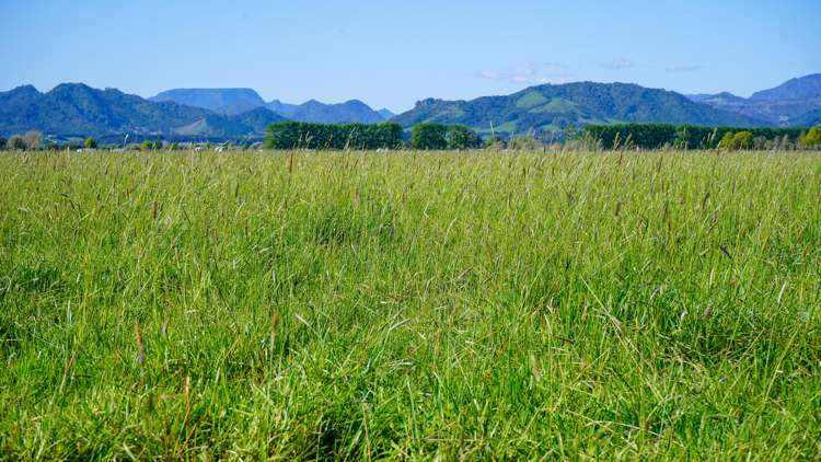 1944 State Highway 25 Orongo_10